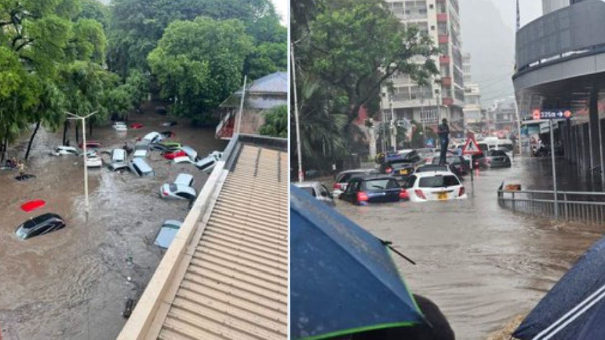 Mauritius Cyclone Belal Cyclonic Storm Wrecks Havoc, Trees Uprooted